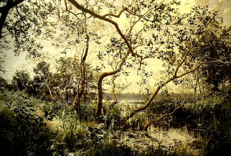 vattenvegetation, johan krouthen